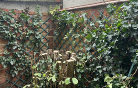 Élagueur à Aulnay-sous-Bois