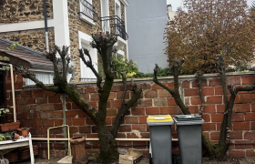 Elagueur Aulnay-sous-Bois