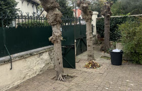 Elagueur Aulnay-sous-Bois